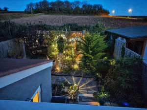 Garden at night- click for photo gallery